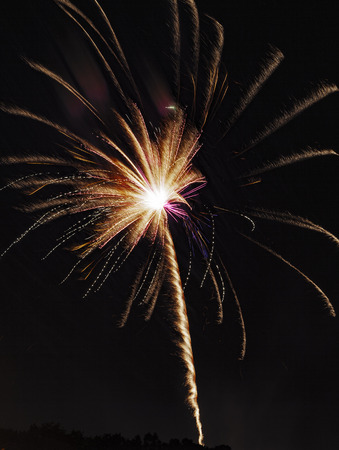 Fire Flowerの写真素材