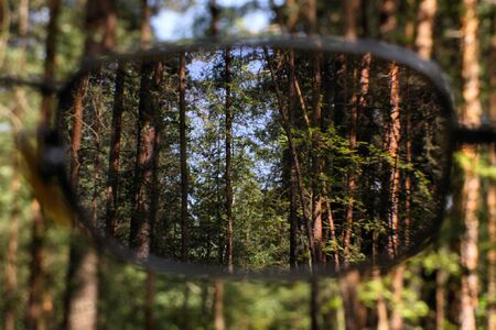 forest through the glassesの写真素材