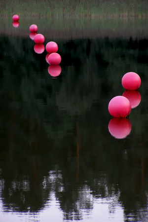 row of rose buoys on smooth water   の写真素材