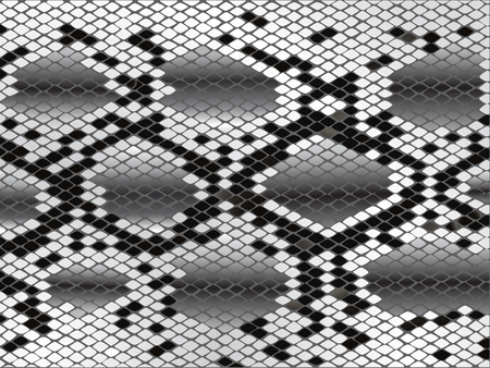 Vector snake skin lozenge pattern in black grey and whiteのイラスト素材