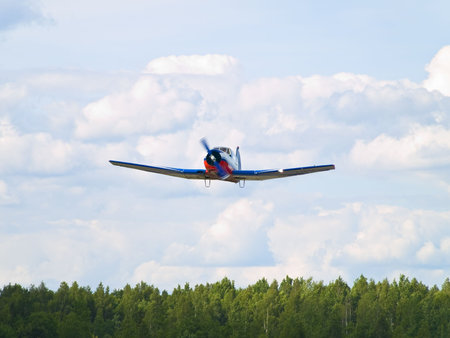airplane flying under forest in the cloudy sky