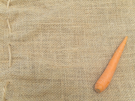 Single carrot at the brown linenの写真素材