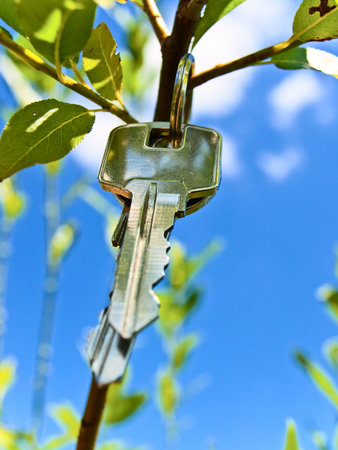 key at the green branch against the blue cloudy sky