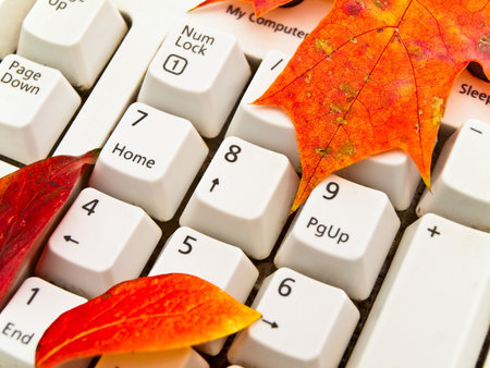  Photo of the keyboard in the bright autumn leavesの写真素材