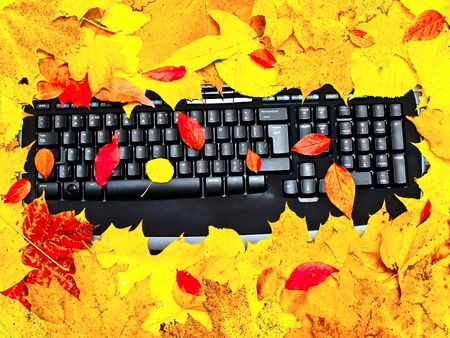 black keyboard at the bright multicolored autumn leavesの写真素材