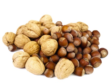 Photo of the hazelnuts and walnut against the white backgroundの写真素材