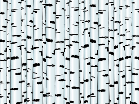 Illustration of the birch trunk background in white and blackのイラスト素材