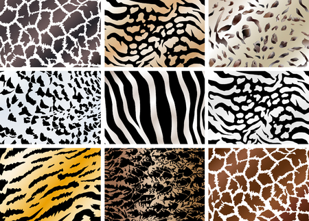 Illustration of set animals skin backgrounds. Zebra, owl, giraffe,tiger, cat.のイラスト素材