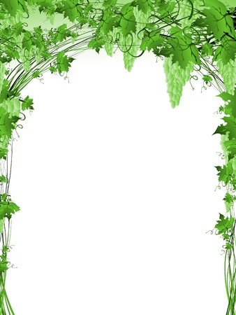 Illustration of green grape vine frame with copyspace for your textのイラスト素材