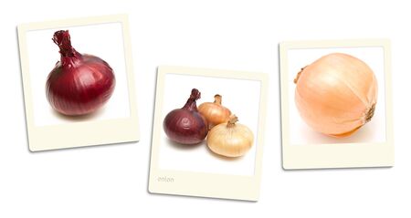 Thre old style photos of onion over white backgroundの写真素材