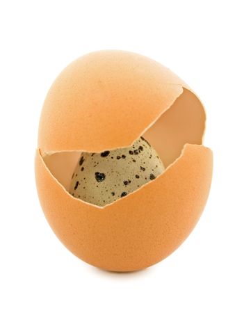 quail egg in the chicken eggs shellsの写真素材