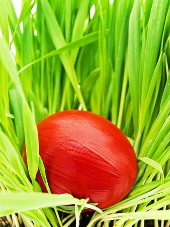 red color easter egg in green grassの写真素材