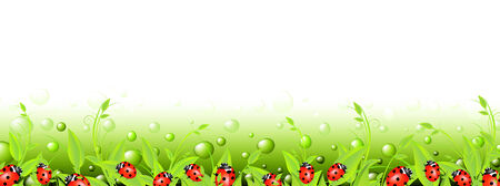 vital spark scenery banner with green flora and red ladybirds. Copyspace for your textのイラスト素材