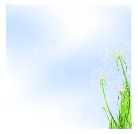 meadow with dandelions and blue sky, copyspace for your text のイラスト素材