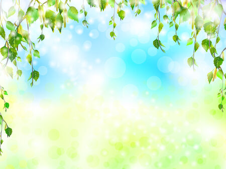 bright summer background with birch branches, copyspace for your text のイラスト素材