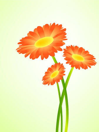 Gerbera flowers over light green backgroundのイラスト素材