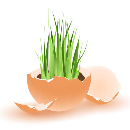 Easter theme with egg and green growing grass over white backgroundのイラスト素材