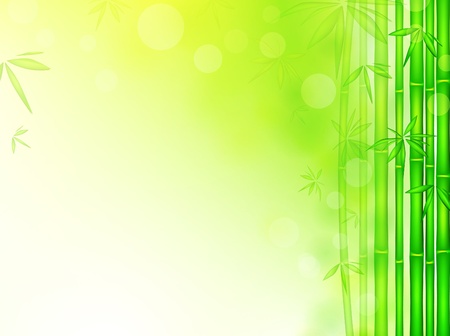 bamboo sunny forest with copyspace のイラスト素材