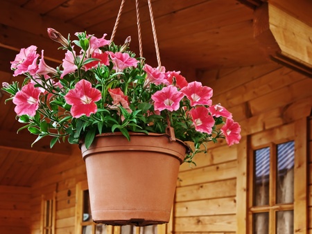 flower pot dangling from the roof of the houseの写真素材