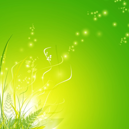 green grass and fern over magic floral decoration, copyspaceのイラスト素材