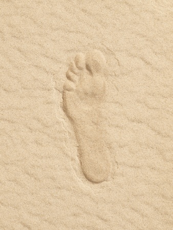 Single footprint at the sandの写真素材