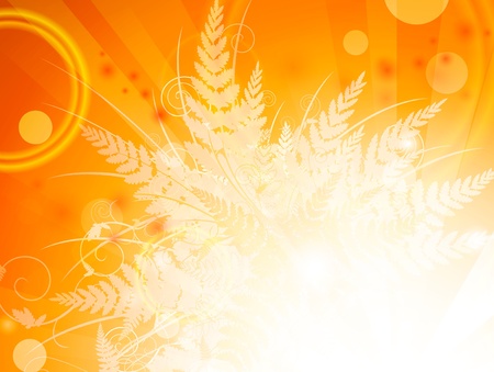 Autumn fern leaves bright orange background のイラスト素材