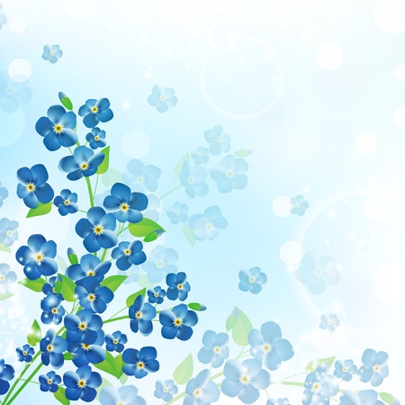 illustration of the forget-me-not flower backgroundのイラスト素材