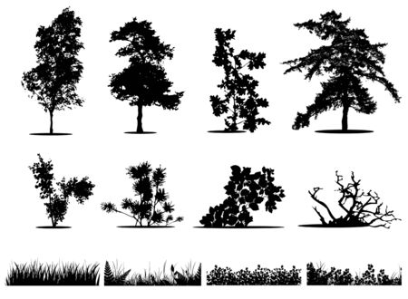 Trees, bushes and grass silhouettes collection のイラスト素材