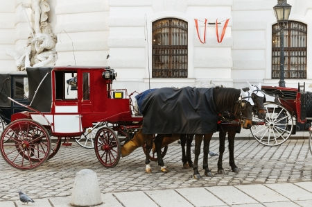 Parking Of Fiacres On The Michaelerplatz  Vienna  Austria の写真素材