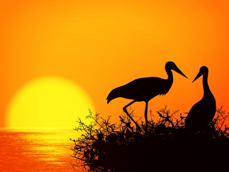 Illustration of Stork Nest Silhouette Over Sunsetのイラスト素材