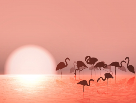 Flamingo Silhouette and Sunset at the Lakeのイラスト素材