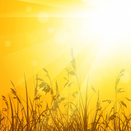 Shiny Abstract Summer Meadow With Grassのイラスト素材