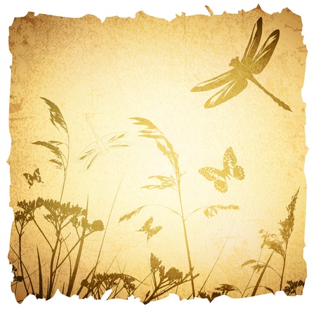 Vintage Summer Meadow Background With Dragonfly and Grassのイラスト素材
