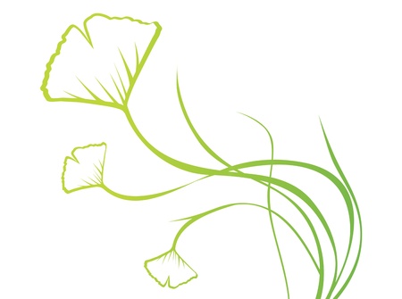 Abstract Ginkgo Biloba Floral Over White, Copyspaceのイラスト素材