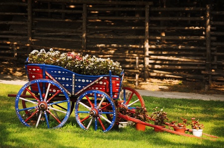 The Cart Full Of Flowers On The Lawnの写真素材