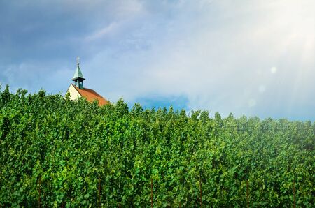 A Small Church In The Vineyard  Prague; Czech Republic の写真素材