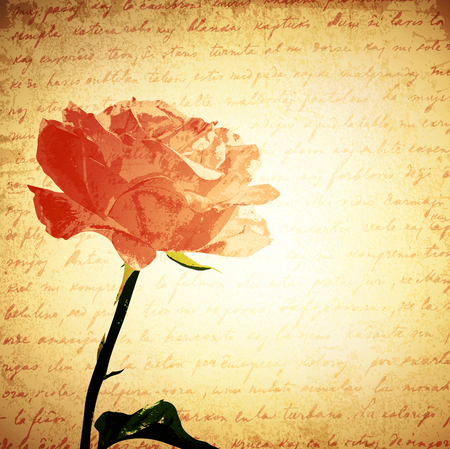 Vintage Pink Rose Background, Copyspace のイラスト素材