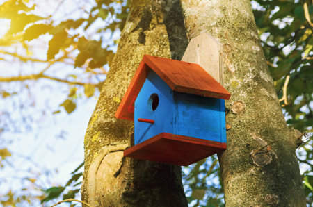 Blue Bird House With Red Roof On The Tree