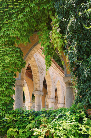 Arched Window Opening Among The Leavesの写真素材