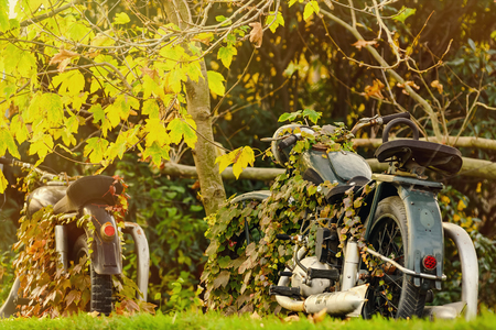 Old Motorcycle In Autumn Foliageの写真素材