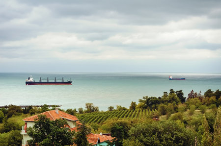 Ship Stands at the Roadstead. View from the Coastline