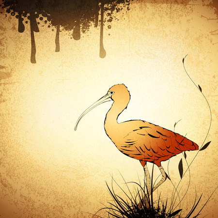 Illustration of Eudocimus ruber or Red Ibis Vintage Grunge Backgroundのイラスト素材