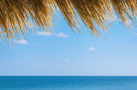 View On The Black Sea From The Shoreの写真素材