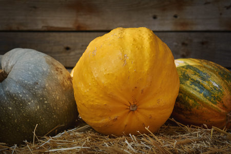 Pumpkins on a Hay against the Wooden Background