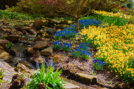 Flowerbed with different types of flowers in the parkの写真素材