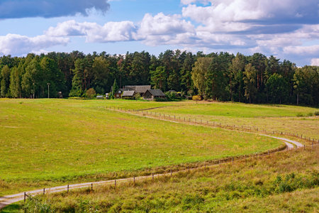 Road to the farm in the rural areaの写真素材