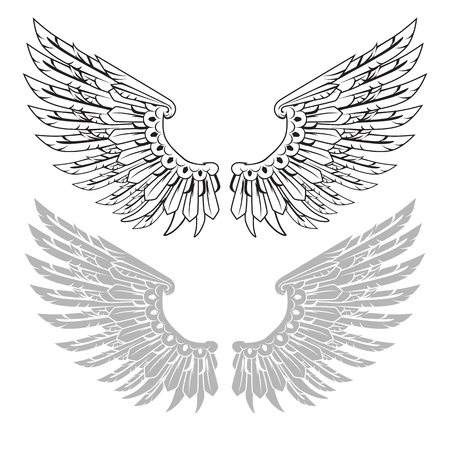 Straightened wings in linear and stamp versions. Vector illustration.のイラスト素材