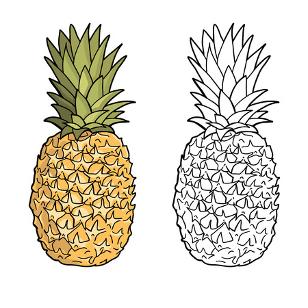 Isolated pineapples   Graphic stylized drawing  Vector illustration  Black and whiteのイラスト素材