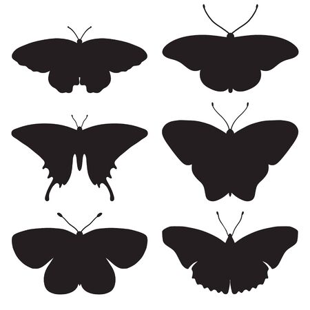 Vector set with butterfly silhouettes isolated on white backgroundのイラスト素材