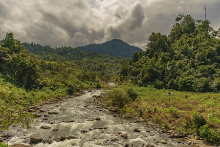 Wild clean river scene in lush forest seen on a cloudy day with haze in Jambi province, Sumatra, Indonesiaの写真素材